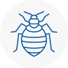 Bed Bug Extermination In Pembury